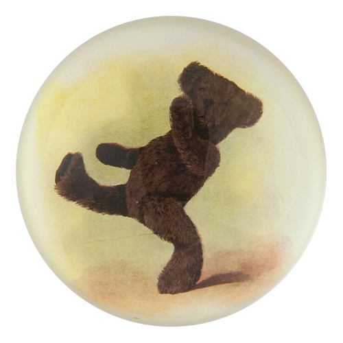 Bear: One Foot Up