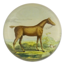 Brown Horse