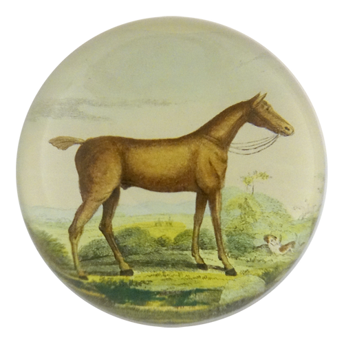 Brown Horse