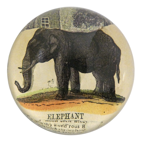Elephant Collage