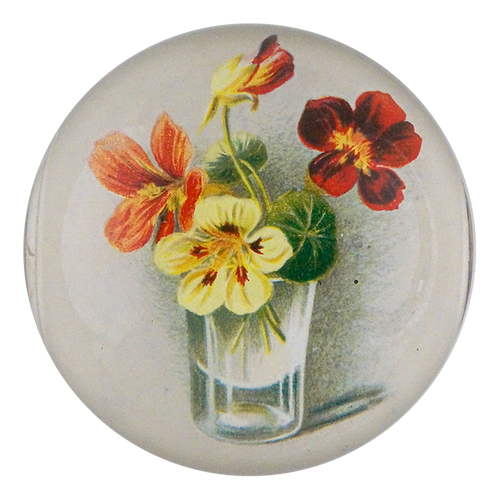 Glass of Nasturtium