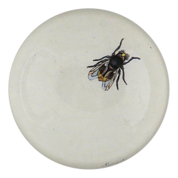 The Fly