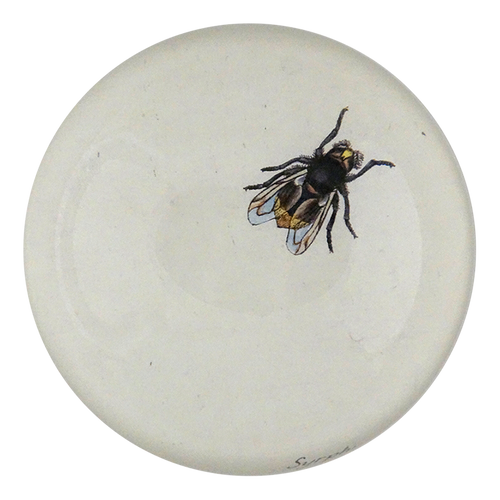 The Fly
