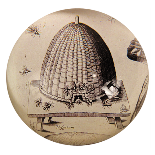 Apiarum (Beehive)