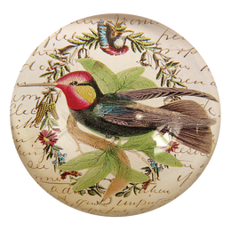 Hummingbird