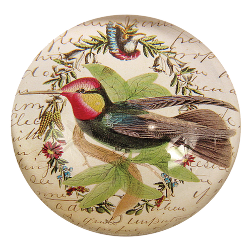 Hummingbird