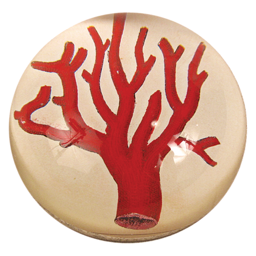 Red Coral
