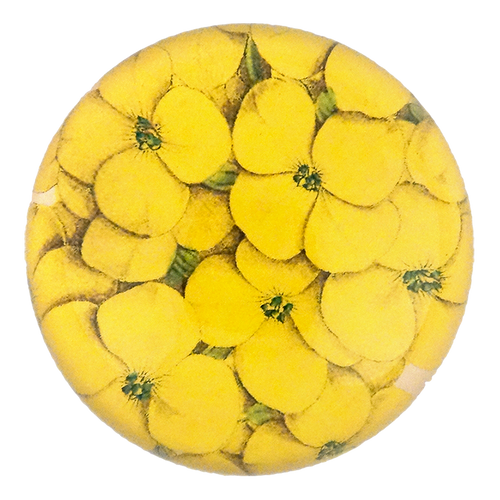 Chrysanthus Flower
