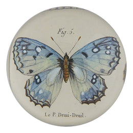 Fig. 5 Butterfly