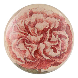 Malva (Chinese Rosea)