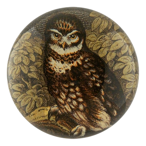 Owl with Leaves