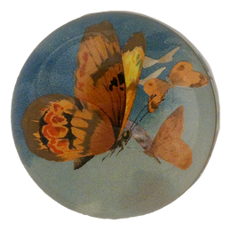 The Golden Butterfly