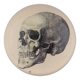 The Skull