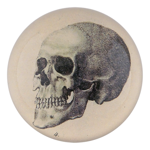 The Skull