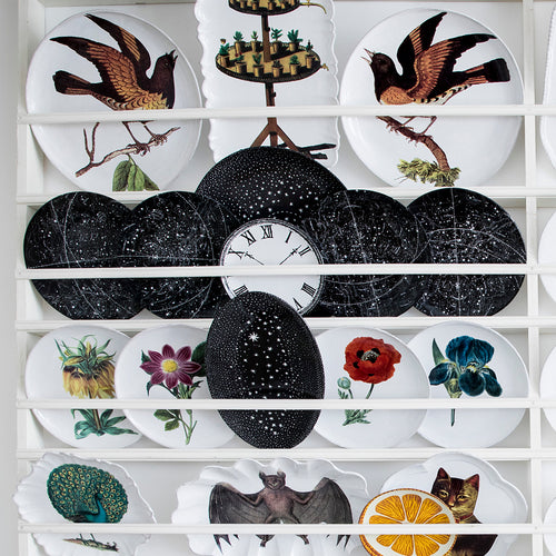 American Red Start (Facing Left) Round Platter