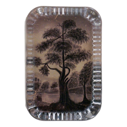 Sandpaper Tree