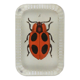 Big Dot Ladybug