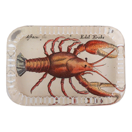 Cray Fish