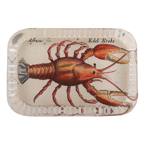 Cray Fish