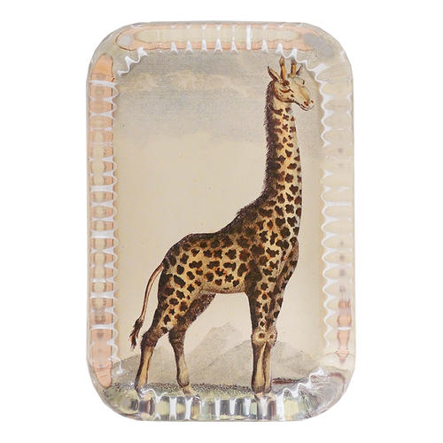 Giraffe Pl. 290