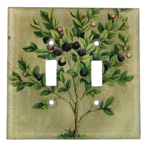 Blueberries