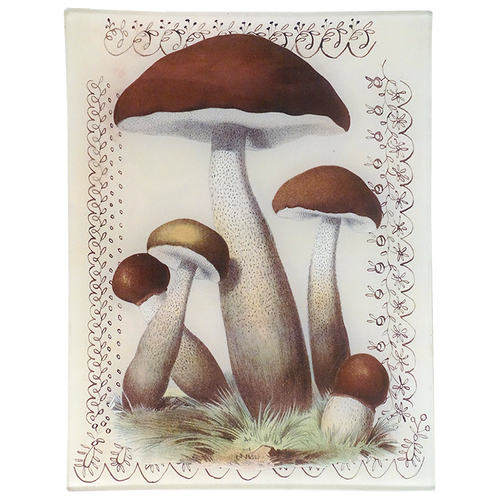 Mushroom with Lace