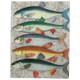 Some Fish