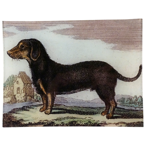 Dachshund Black