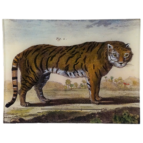 Le Tigre