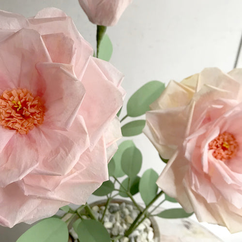The Green Vase Potted Garden Rose