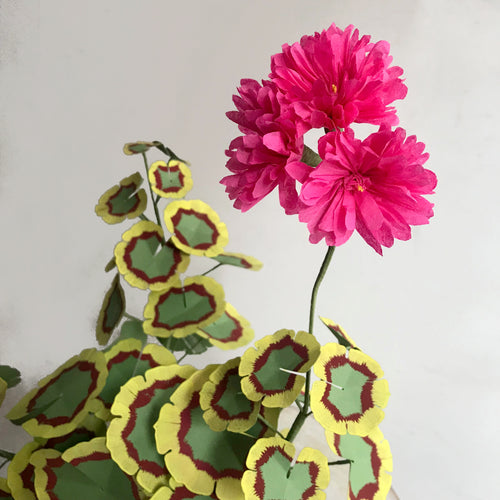 The Green Vase Potted Double Pink Geranium