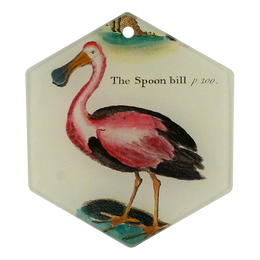 Spoonbill