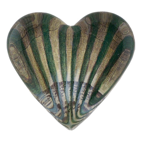 Green Scallop