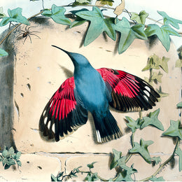 Humming Bird Silk Scarf
