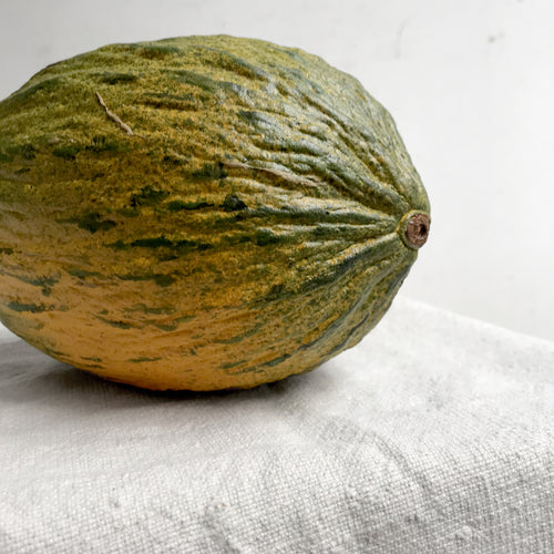 Porcelain Piel de Sapo Melon