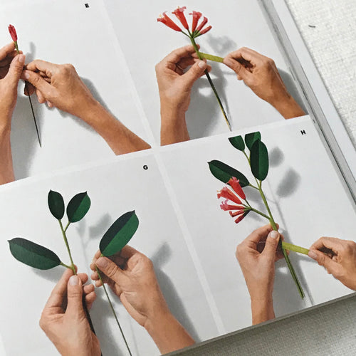 The Exquisite Book of Paper Flower Transformations by Livia Cetti