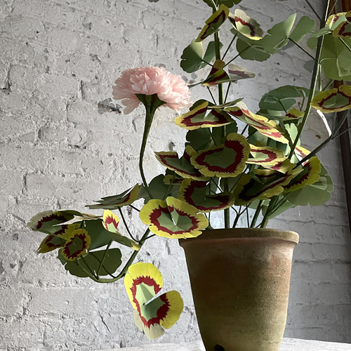 The Green Vase Potted Large Geranium