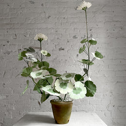 The Green Vase Double Potted Geranium