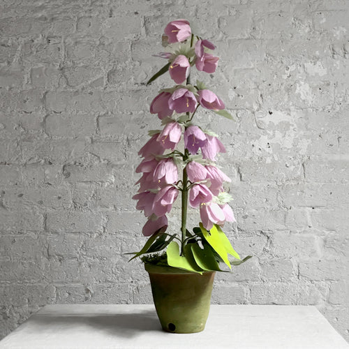 The Green Vase Potted Campanula Plant Vase