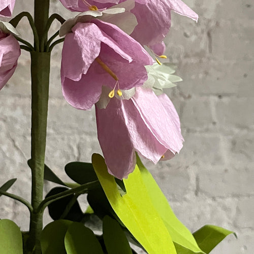 The Green Vase Potted Campanula Plant Vase
