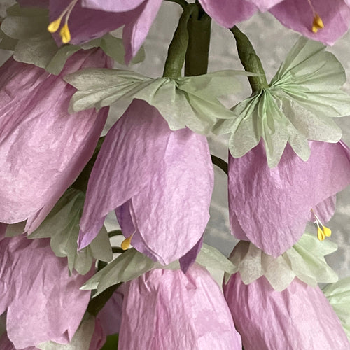 The Green Vase Potted Campanula Plant Vase