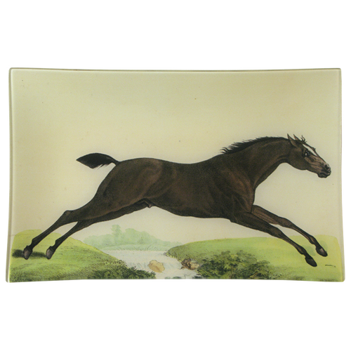 Jumping Horse