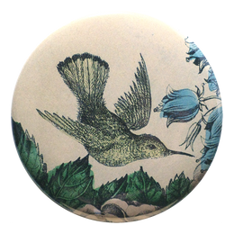 Sepia Hummingbird