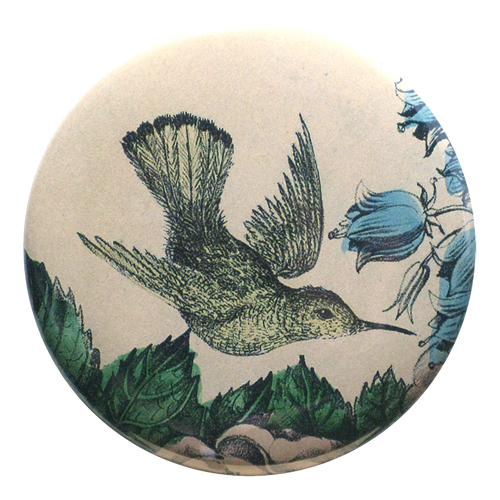 Sepia Hummingbird