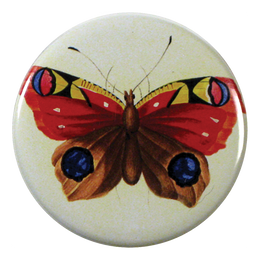 Painted Papillon