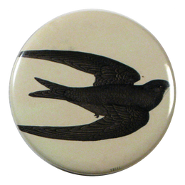 Swift Bird
