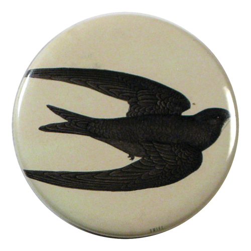 Swift Bird
