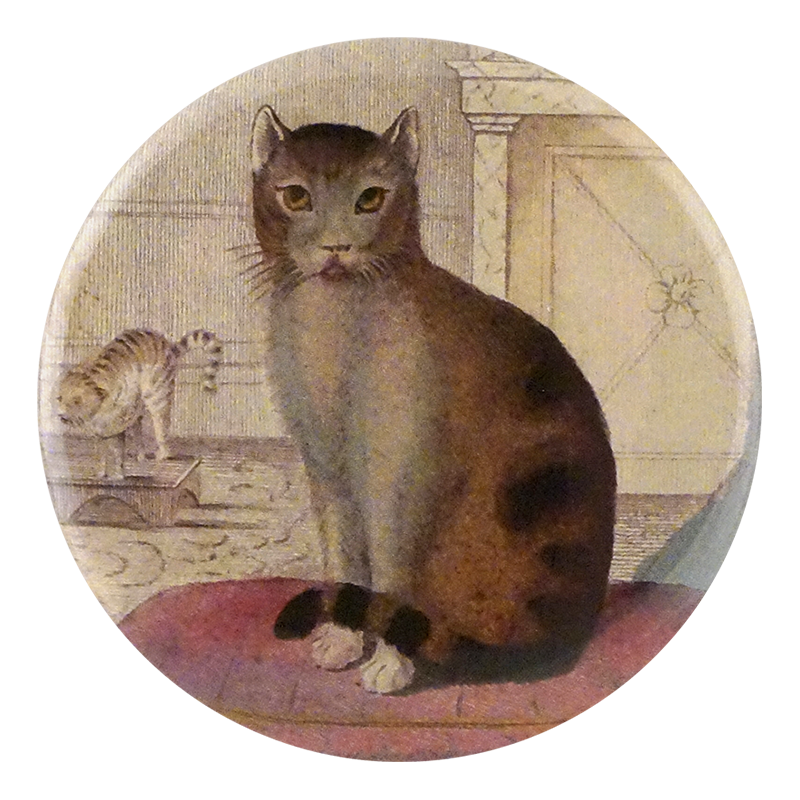 Calm Cat