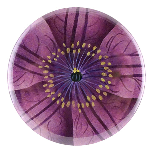Jackmanii Clematis