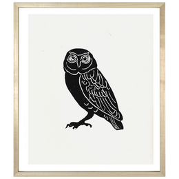 Owl 1